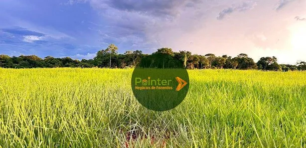 Fazenda/Sítio à venda, 290400m² no , Itaberaí
