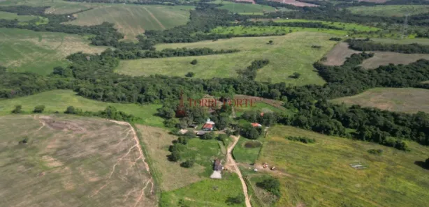 Fazenda/Sítio com 3 Quartos à venda, 4977200m² no Setor Central, Silvânia
