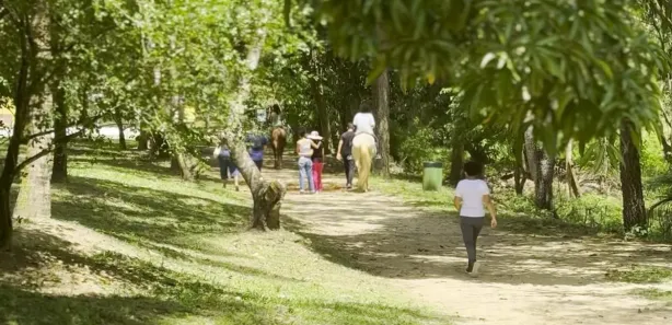 Lote/Terreno à venda, 1407m² no Loteamento Recanto dos Eucaliptos, Simões Filho