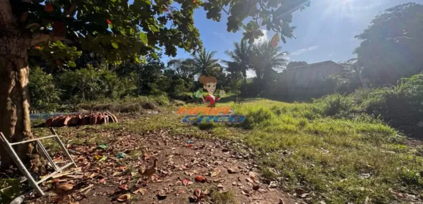 Lote/Terreno à venda, 3000m² no cambolo, Porto Seguro