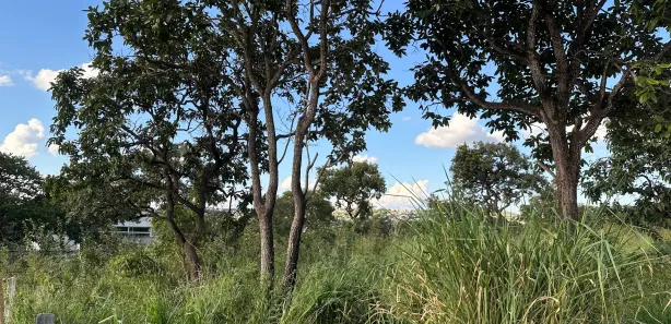 Lote/Terreno à venda, 980m² no Recanto da Lagoa, Lagoa Santa