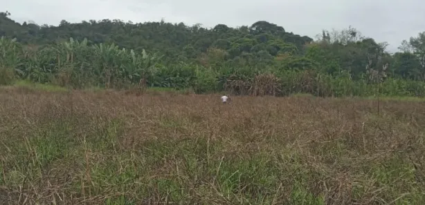 Fazenda/Sítio à venda, 677600m² no , Guaraqueçaba