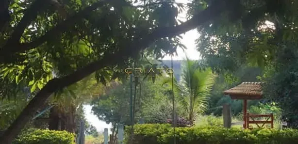 Fazenda/Sítio com 3 Quartos à venda, 635m² no Abadiânia, Abadiânia