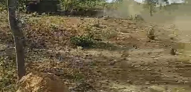 Fazenda/Sítio à venda no , Buritis