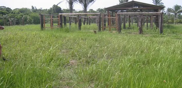 Fazenda/Sítio com 1 Quarto à venda, 1m² no Caravelas, Caravelas