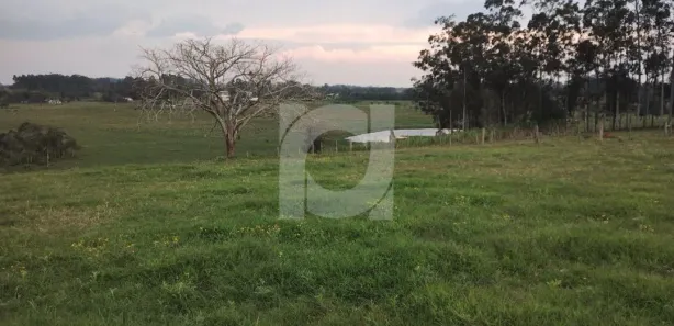 Lote/Terreno à venda, 60000m² no São Jorge, Portão
