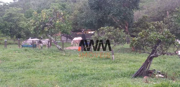 Fazenda/Sítio à venda, 774400m² no Goiás, Goiás