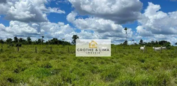 Fazenda/Sítio com 5 Quartos à venda, 800m² no Centro, Estreito