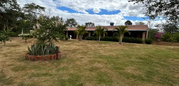 Fazenda/Sítio à venda, 6150m² no , Terezópolis de Goiás