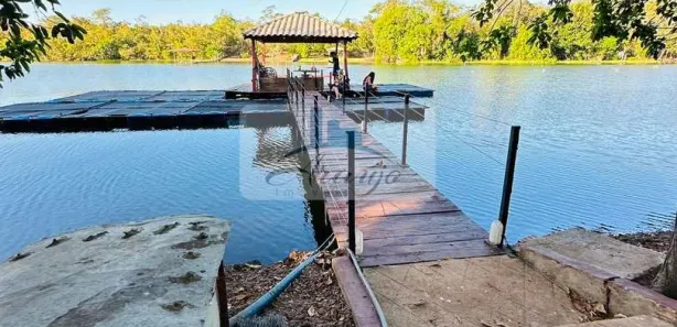 Fazenda/Sítio com 4 Quartos à venda, 26000m² no Luzimangues, Porto Nacional