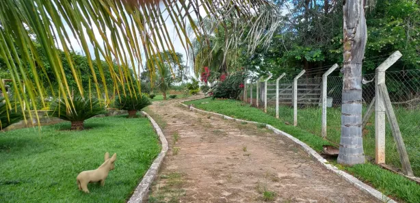 Fazenda/Sítio à venda, 10000m² no , Bonfinópolis