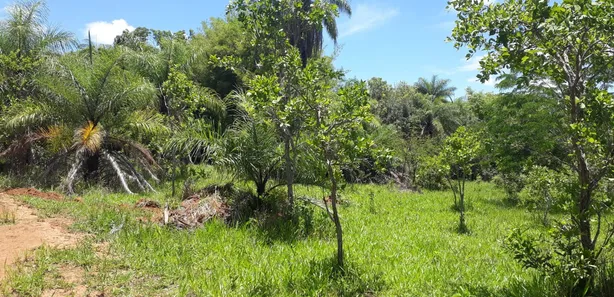 Lote/Terreno à venda, 20000m² no Cordisburgo, Cordisburgo