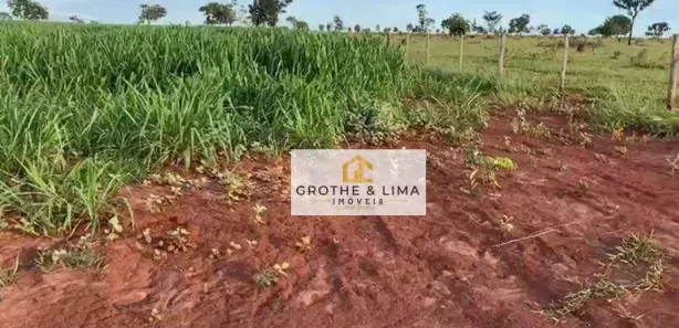 Fazenda/Sítio com 5 Quartos à venda, 800m² no Padre Bernardo, Padre Bernardo