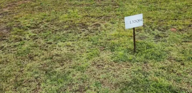 Lote/Terreno à venda, 436m² no , Nova Santa Rita