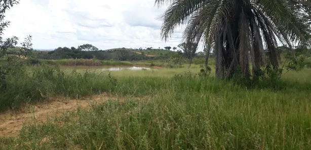 Lote/Terreno à venda, 20000m² no , Araçaí