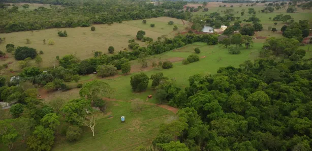 Fazenda/Sítio à venda, 480000m² no Área Rural, Goianira