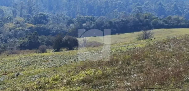 Lote/Terreno à venda, 399529m² no , Capela de Santana