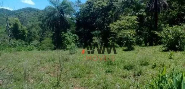 Fazenda/Sítio à venda, 8179600m² no , 