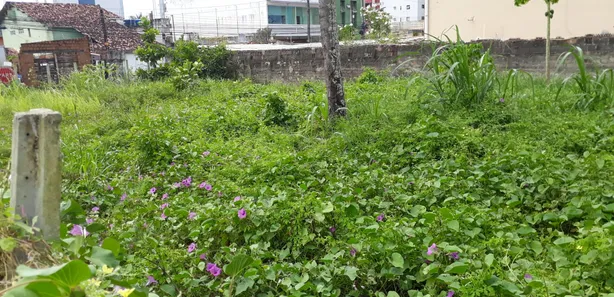Lote/Terreno à venda, 432m² no Candeias, Jaboatão dos Guararapes