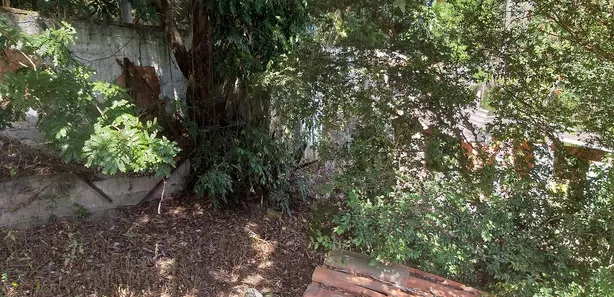 Fazenda/Sítio com 2 Quartos à venda, 2721m² no Granja dos Cavaleiros, Macaé