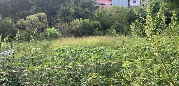 Lote/Terreno à venda, 396m² no São Luiz Gonzaga, Passo Fundo