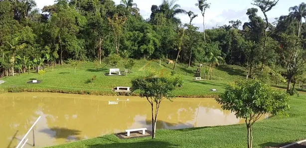 Fazenda/Sítio com 3 Quartos à venda, 18000m² no , Antonina