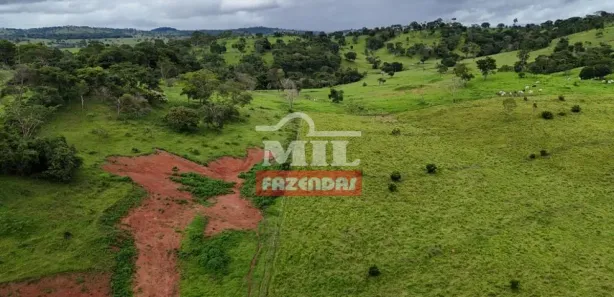 Fazenda/Sítio à venda, 20000m² no Vila Mutirão, Inhumas