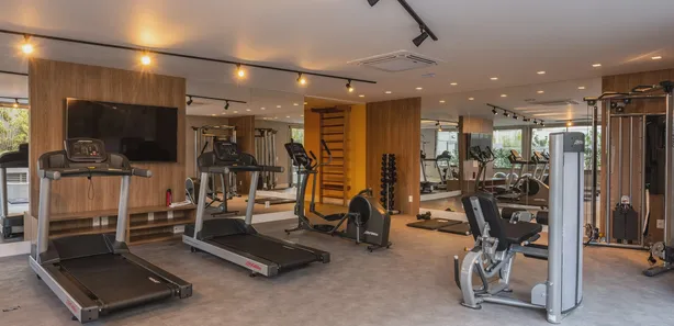 Raizes do parque no Vila Clementino, São Paulo