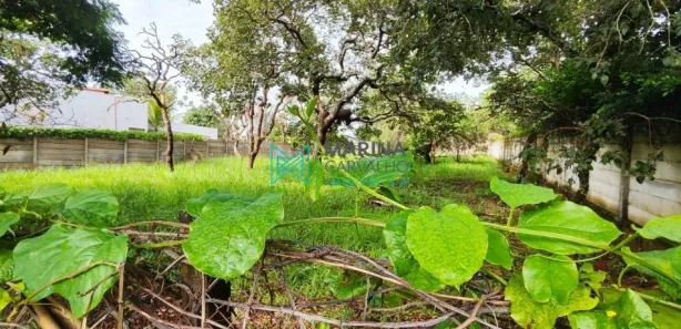 Lote/Terreno à venda, 1000m² no Anel, Lagoa Santa