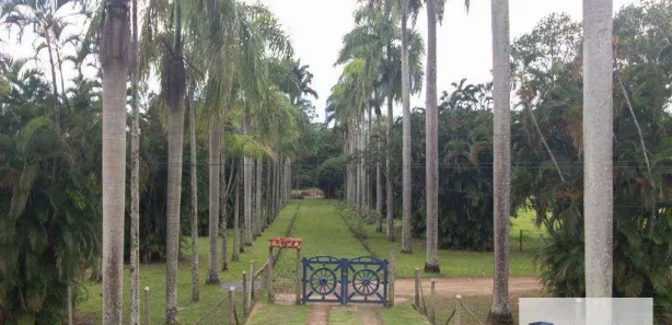 Fazenda/Sítio à venda, 48400m² no Comunidade Urbana de Iguape, Guarapari