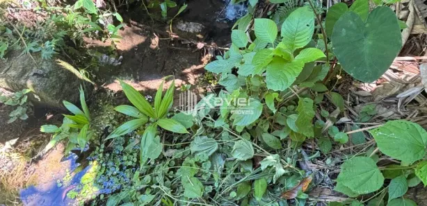 Fazenda/Sítio com 3 Quartos à venda, 11800m² no Comunidade Urbana de Jaboti, Guarapari