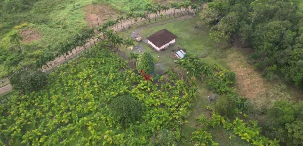 Fazenda/Sítio com 1 Quarto à venda, 332m² no Guaraqueçaba, Guaraqueçaba