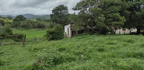 Lote/Terreno à venda, 20000m² no , Fortuna de Minas