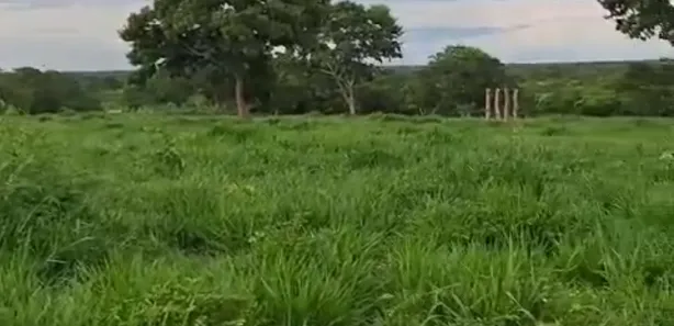 Fazenda/Sítio à venda no , Buritis