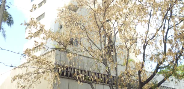 Sala Comercial para alugar, 29m² no Anchieta, Belo Horizonte
