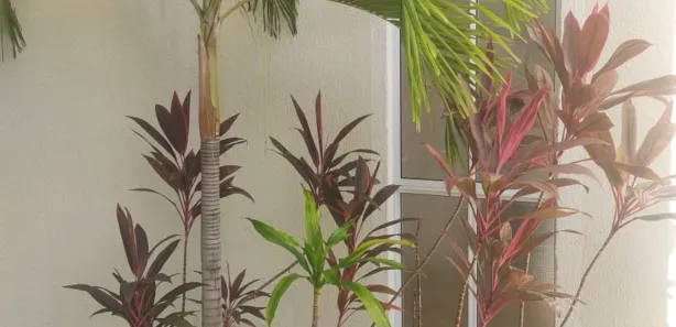Apartamento com 2 Quartos para alugar, 42m² no Centro, Lauro de Freitas