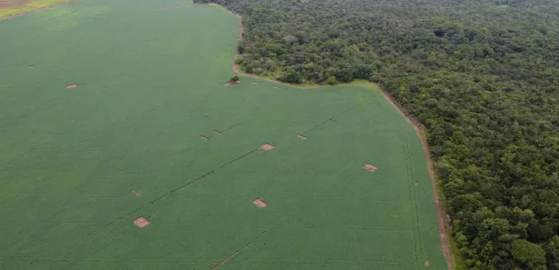 Fazenda/Sítio à venda, 1654892m² no , Itaberaí