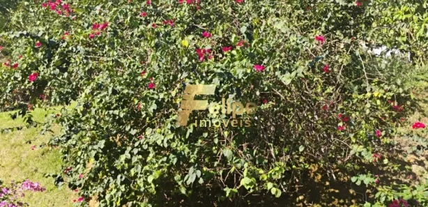 Fazenda/Sítio com 9 Quartos à venda, 25000m² no Comunidade Urbana de Iguape, Guarapari