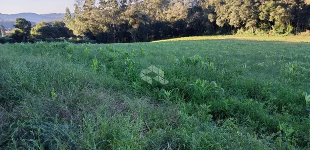 Fazenda/Sítio com 1 Quarto à venda, 20000m² no Monte Verde, Farroupilha