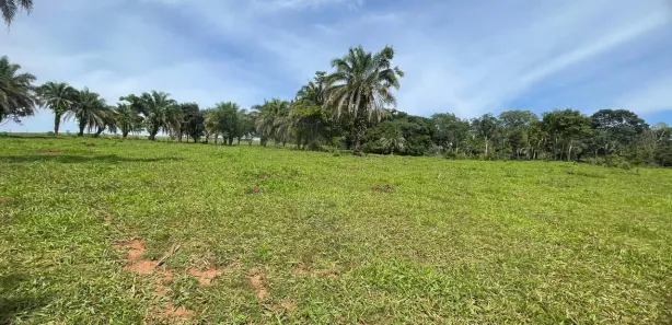 Fazenda/Sítio com 3 Quartos à venda, 72600m² no Área Rural de Inhumas, Inhumas