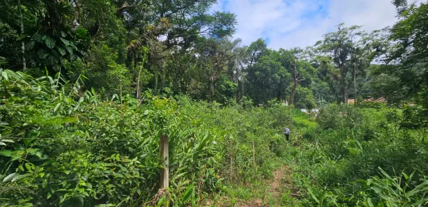 Lote/Terreno à venda, 2400m² no Antonina, Antonina
