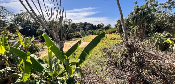 Lote/Terreno com 1 Quarto à venda, 4000m² no Cidade Nova, Manaus