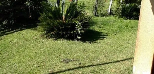 Fazenda/Sítio à venda, 18m² no Área Rural de Anápolis, Anápolis