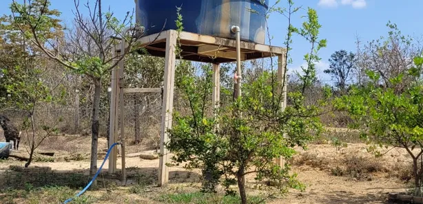 Fazenda/Sítio com 3 Quartos à venda, 170000m² no , Padre Bernardo
