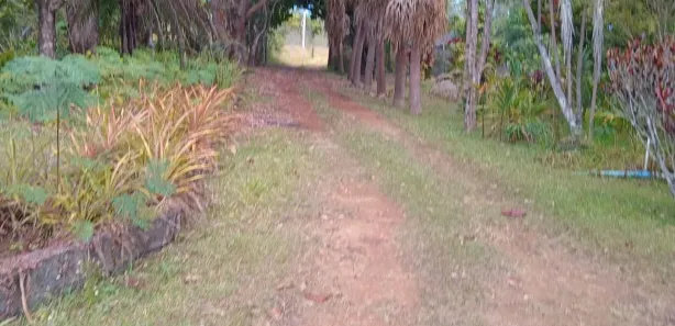 Fazenda/Sítio com 3 Quartos à venda, 210000m² no , Brasília