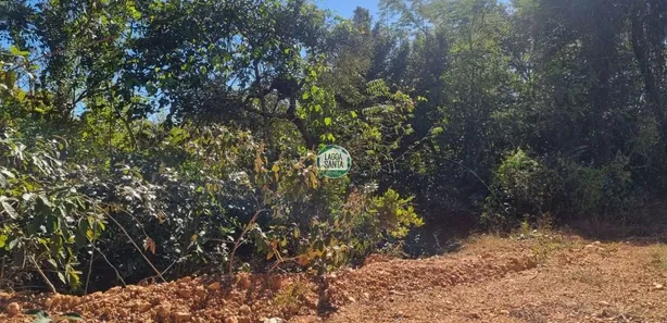 Lote/Terreno à venda, 525m² no Parque das Orquídeas, Lagoa Santa