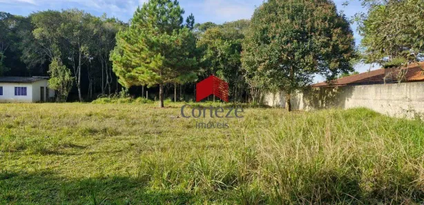 Lotes/Terrenos à venda em São José dos Pinhais, PR - Viva Real
