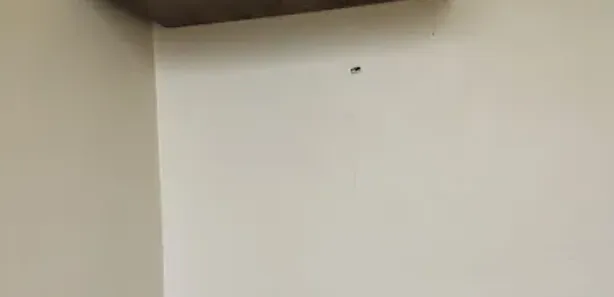 Apartamento com 2 Quartos para alugar, 50m² no Cristo Rei, São Leopoldo