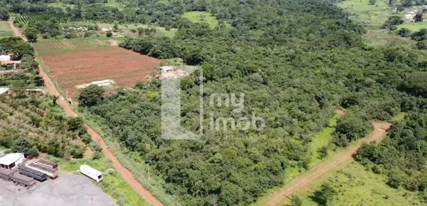 Fazenda/Sítio à venda, 20000m² no Vila São Joaquim, Anápolis