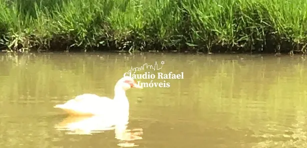 Fazenda/Sítio com 3 Quartos à venda, 300m² no Centro, Casimiro de Abreu